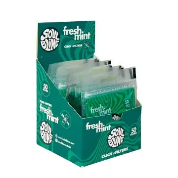 Filtro Slim - Click Freshmint 10UN